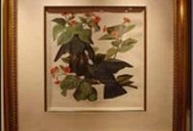 Audubon House and Tropical Gardens of Key West